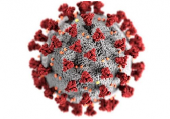 Koronavirus tarixidagi yashirin ma’lumotlar